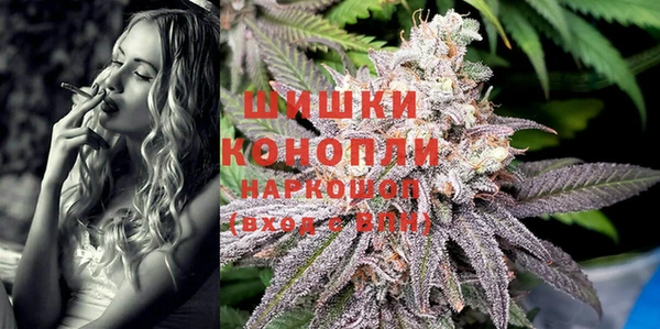 ПСИЛОЦИБИНОВЫЕ ГРИБЫ Новозыбков